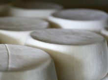 Monzitta_Fiori-formaggi_05-ricotta