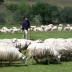 Diario di un Pastore