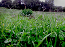 Paesaggio_2_rid