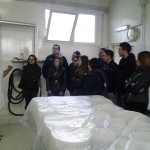 Benvenuti in caseificio
