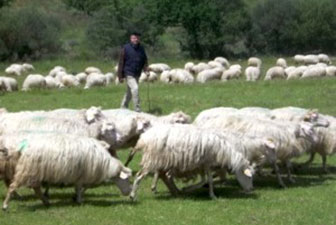 il blog di Pier Angelo Monzitta